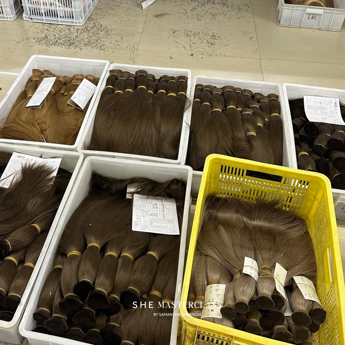 China Manufacturing Tour 2026